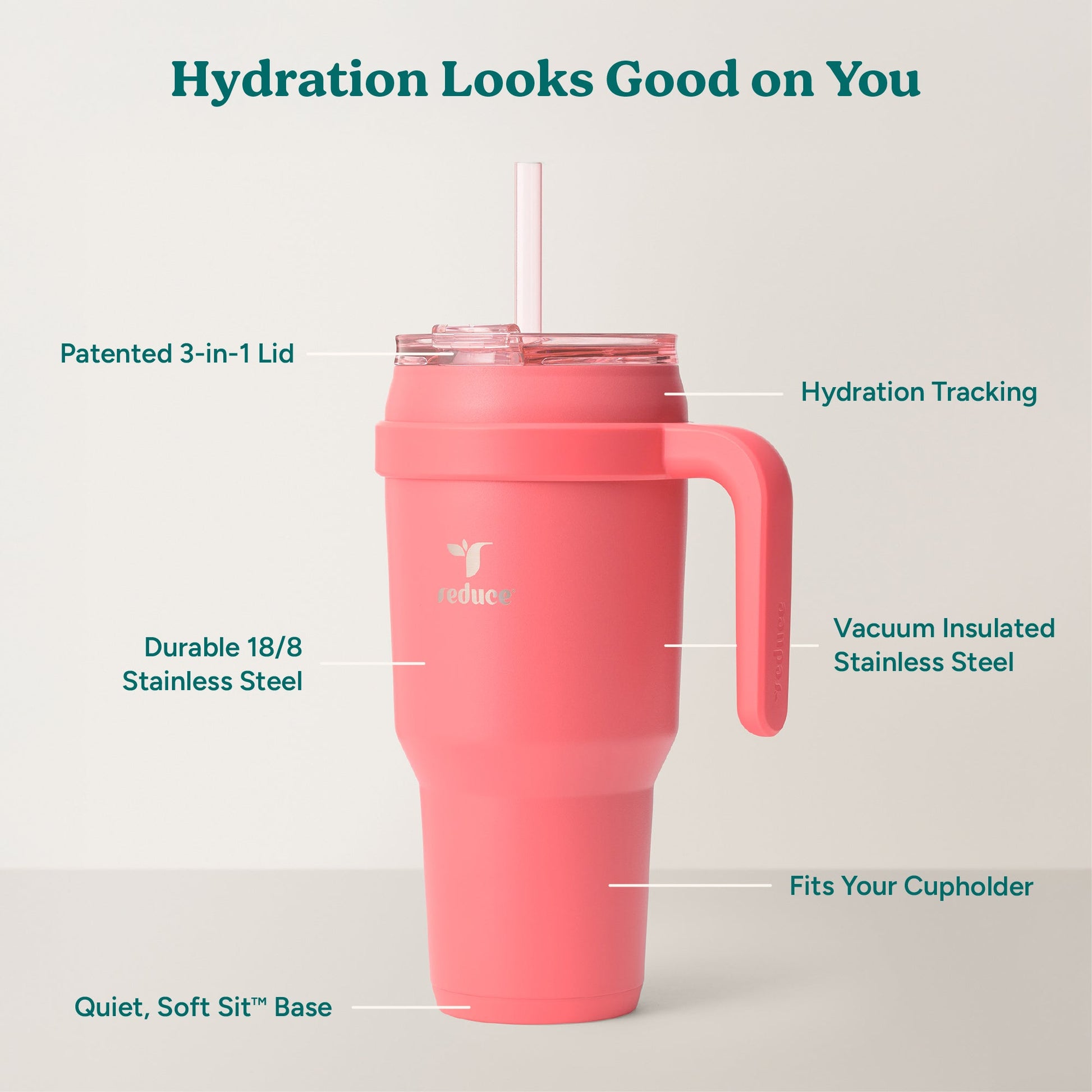 cold1-40-oz-y5 Cold1_40oz_Daiquiri_Infographic_2.jpg