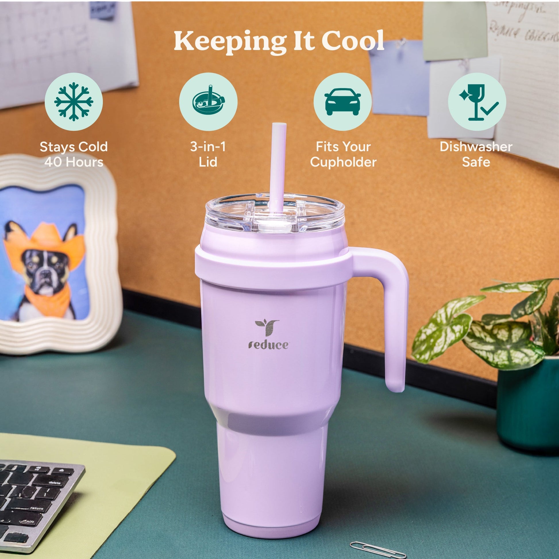 cold1-40-oz-y5 Cold1_40oz_PalmLeaf_Infographic_1.jpg