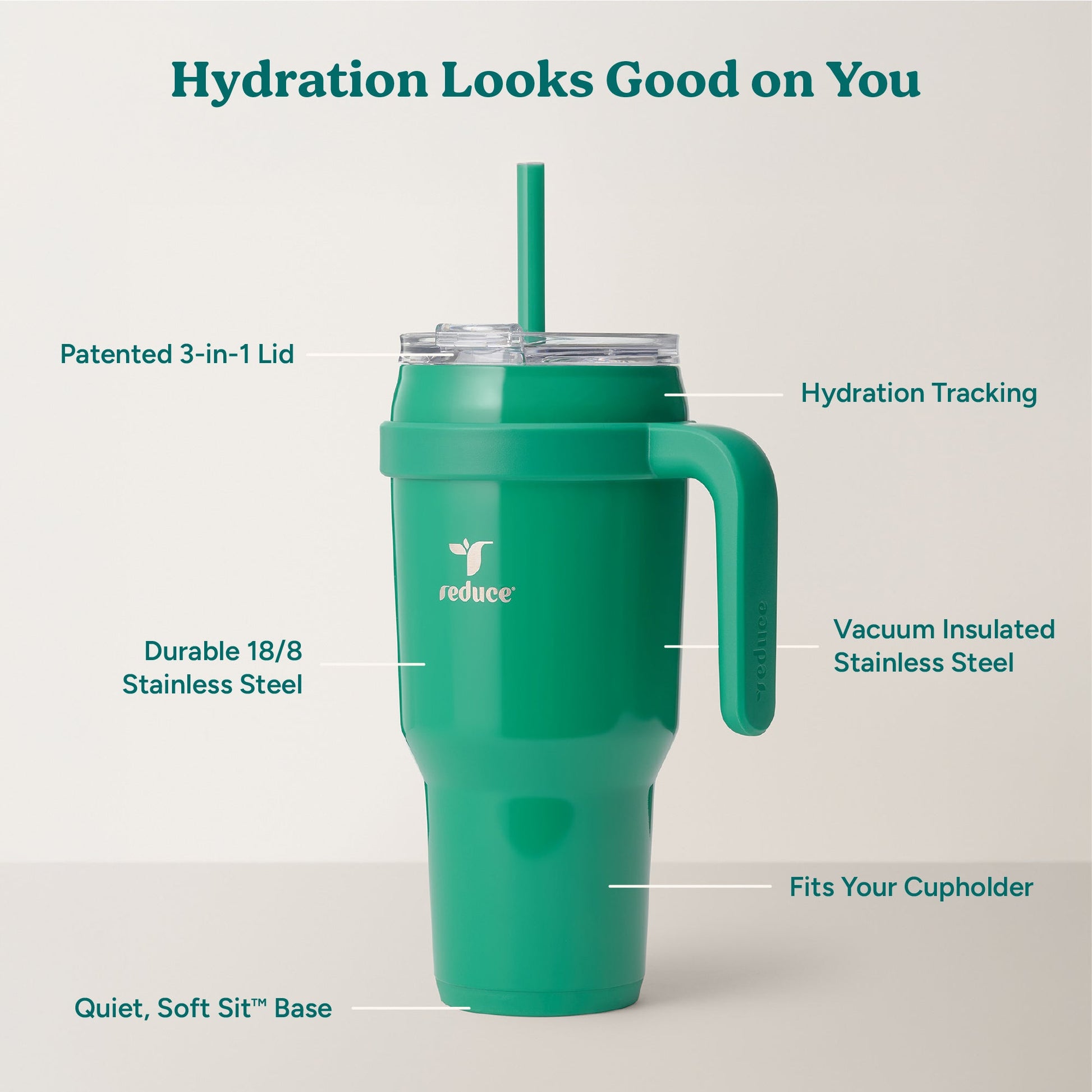 cold1-40-oz-y5 Cold1_40oz_PalmLeaf_Infographic_2.jpg