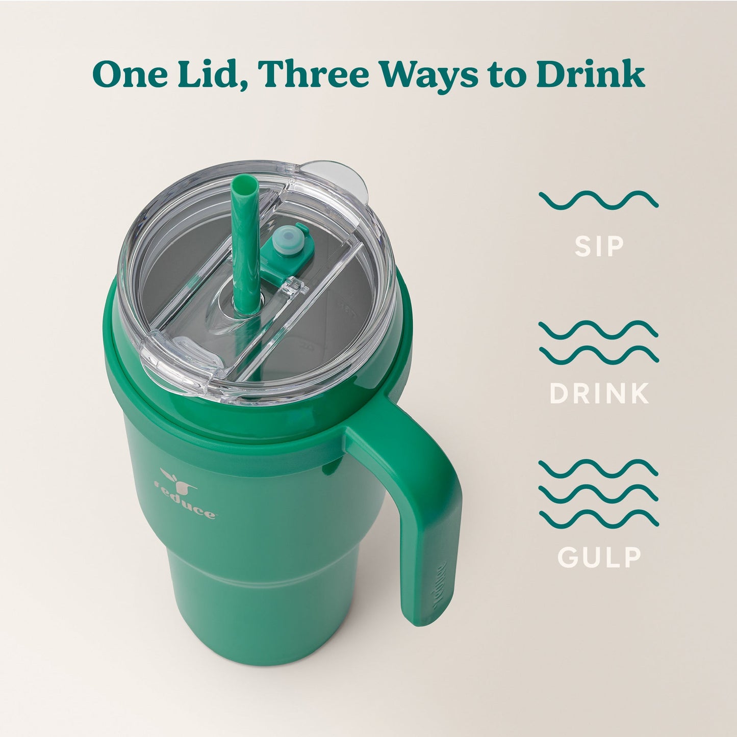 cold1-40-oz-y5 Cold1_40oz_PalmLeaf_Infographic_3.jpg
