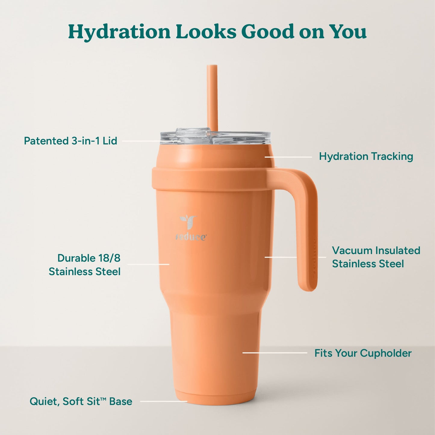 cold1-40-oz-y5 Cold1_40oz_Papaya_Infographic_2.jpg
