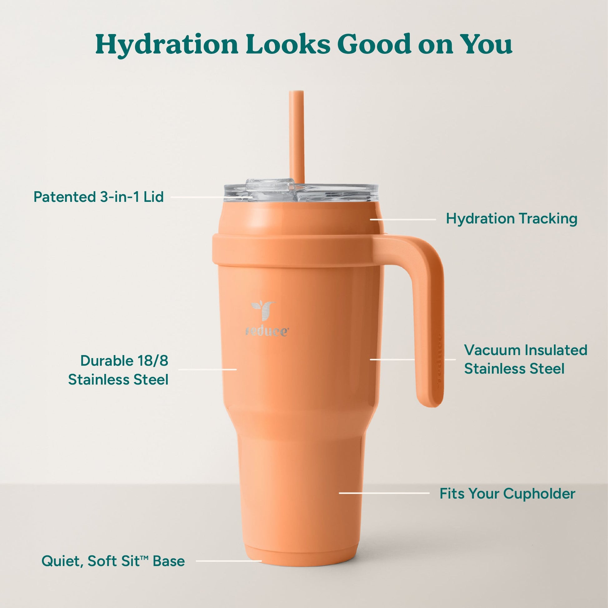 cold1-40-oz-y5 Cold1_40oz_Papaya_Infographic_2.jpg
