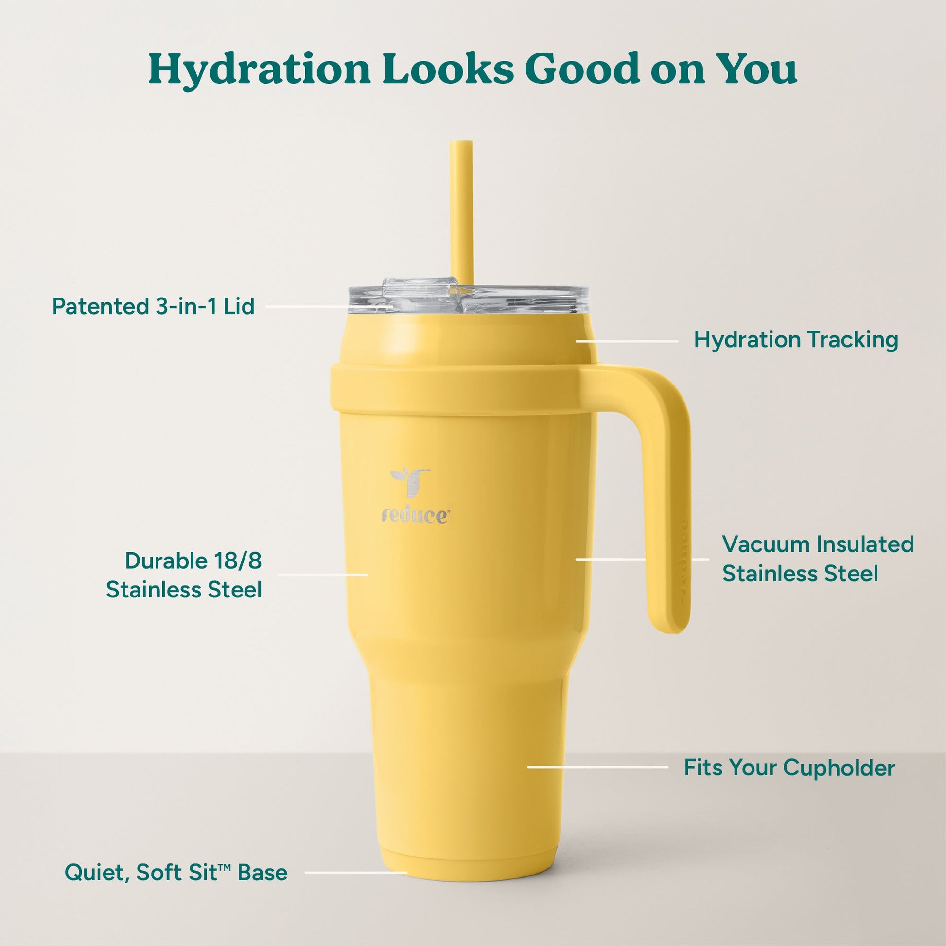 cold1-40-oz-y5 Cold1_40oz_Pineapple_Infographic_2.jpg